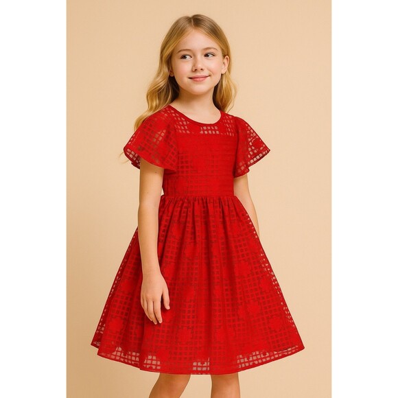 Pastourelle by Pippa & Julie Girls Red Lace Dress Size 10 Puff Flutter Sleeve - Picture 1 of 7